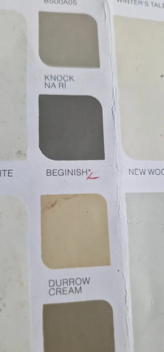 10ltr of Masonary Paint - Image 2