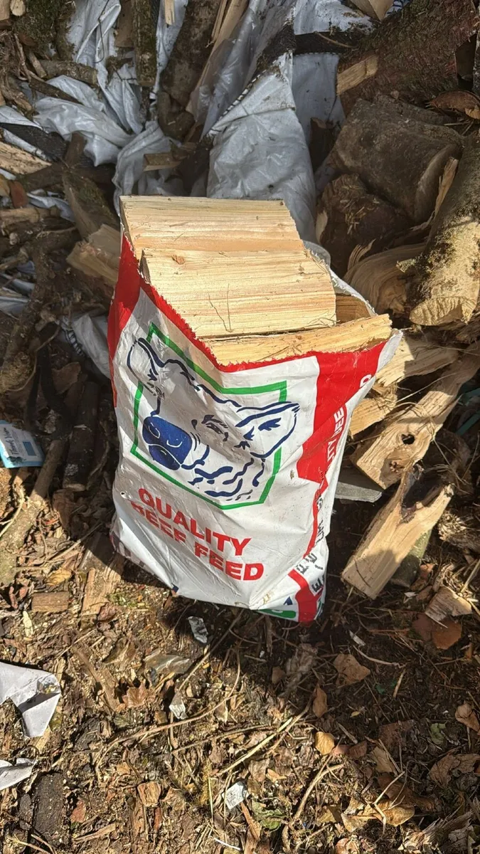 Firewood for Sale - Image 1