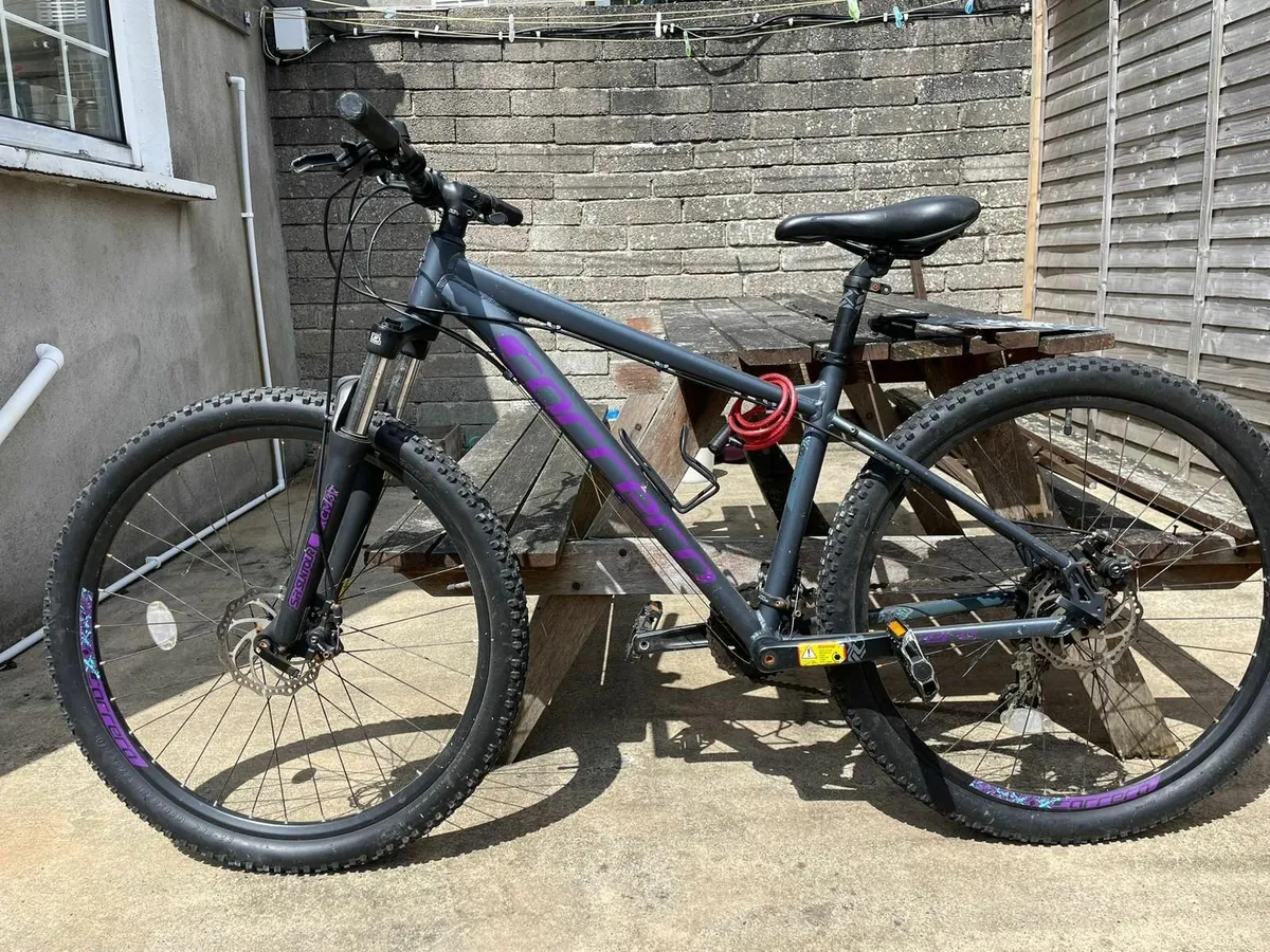 bicycle - Image 4