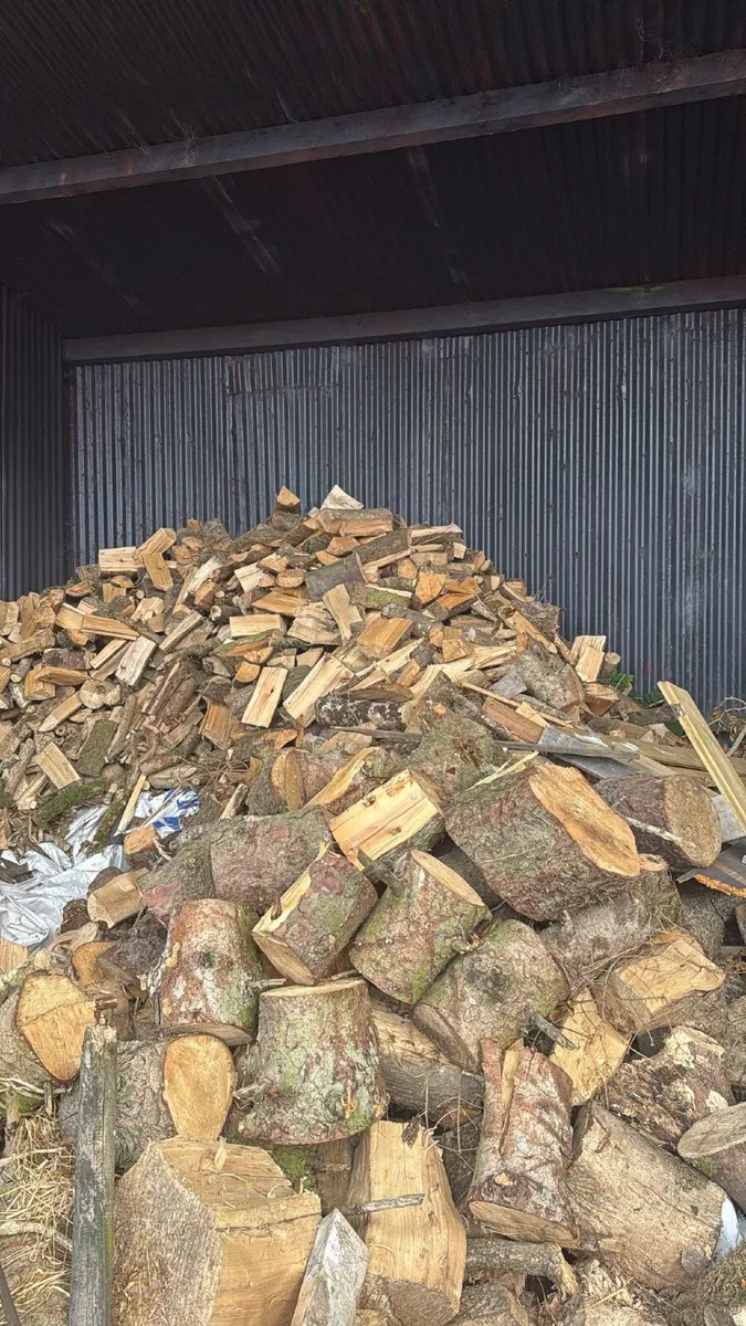 Firewood for Sale - Image 2