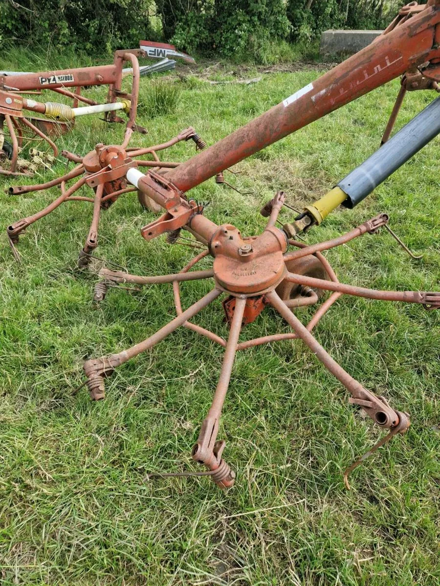 3 haybobs - Image 4