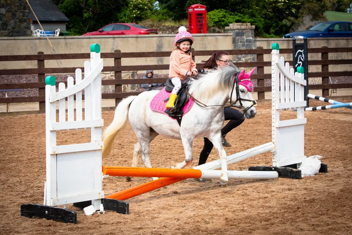 11.2 family pony sensible mare for sale not horse - Image 4