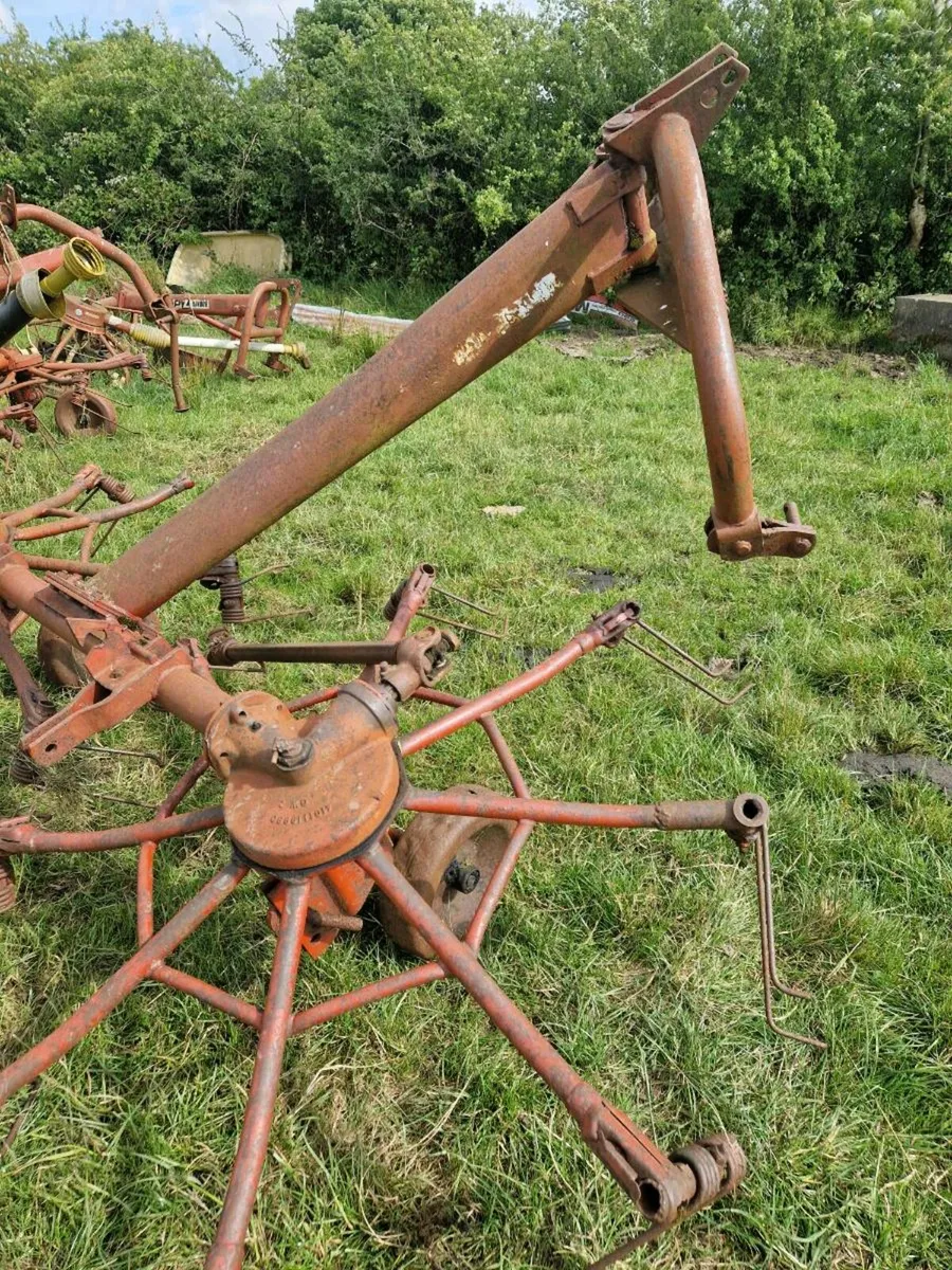 3 haybobs - Image 2
