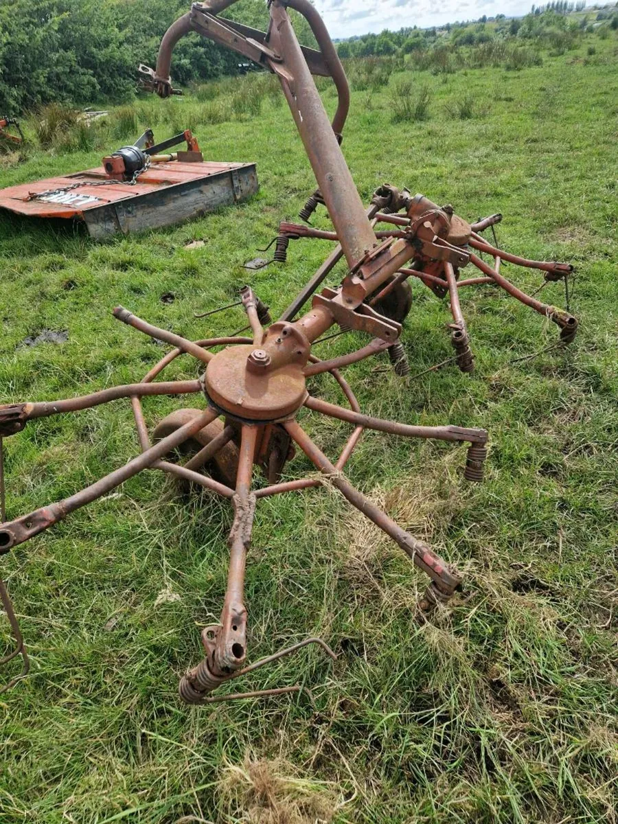 3 haybobs - Image 3