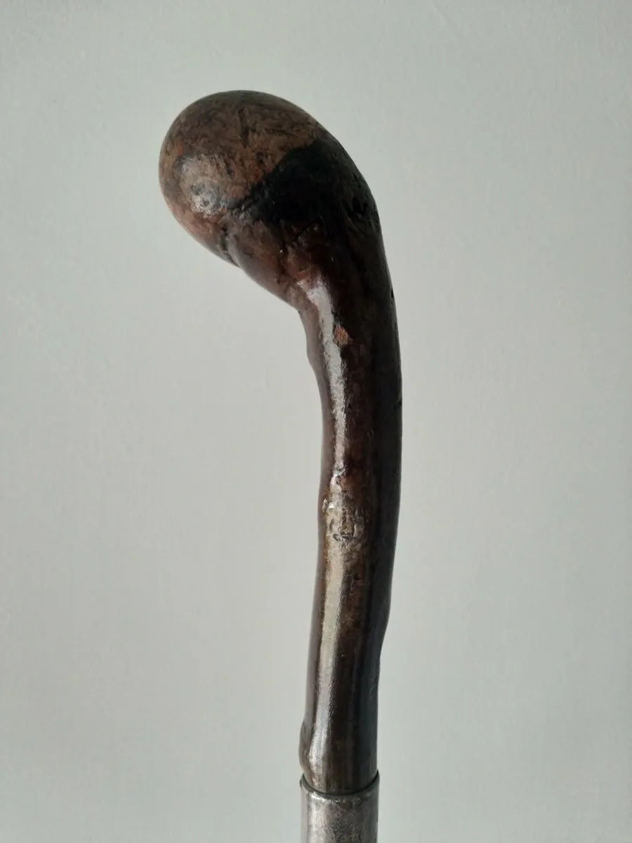 Rare Blackthorn Walking Stick - Image 2