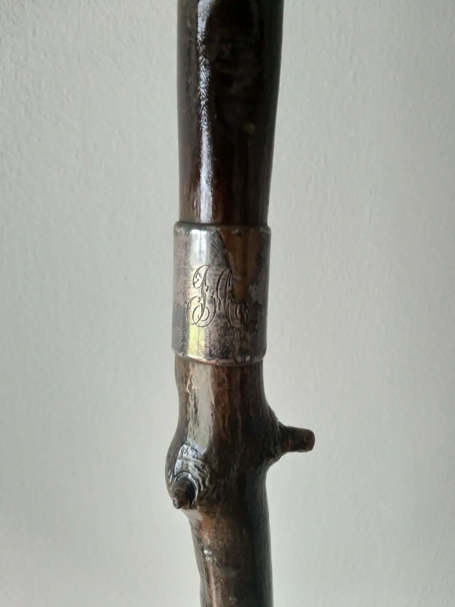 Rare Blackthorn Walking Stick - Image 3
