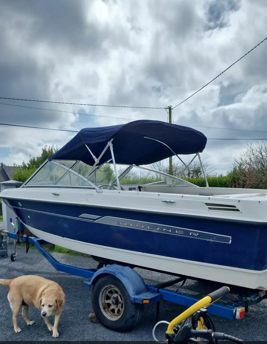 Bayliner 195 bowrider BRAND NEW ENGINE - Image 1