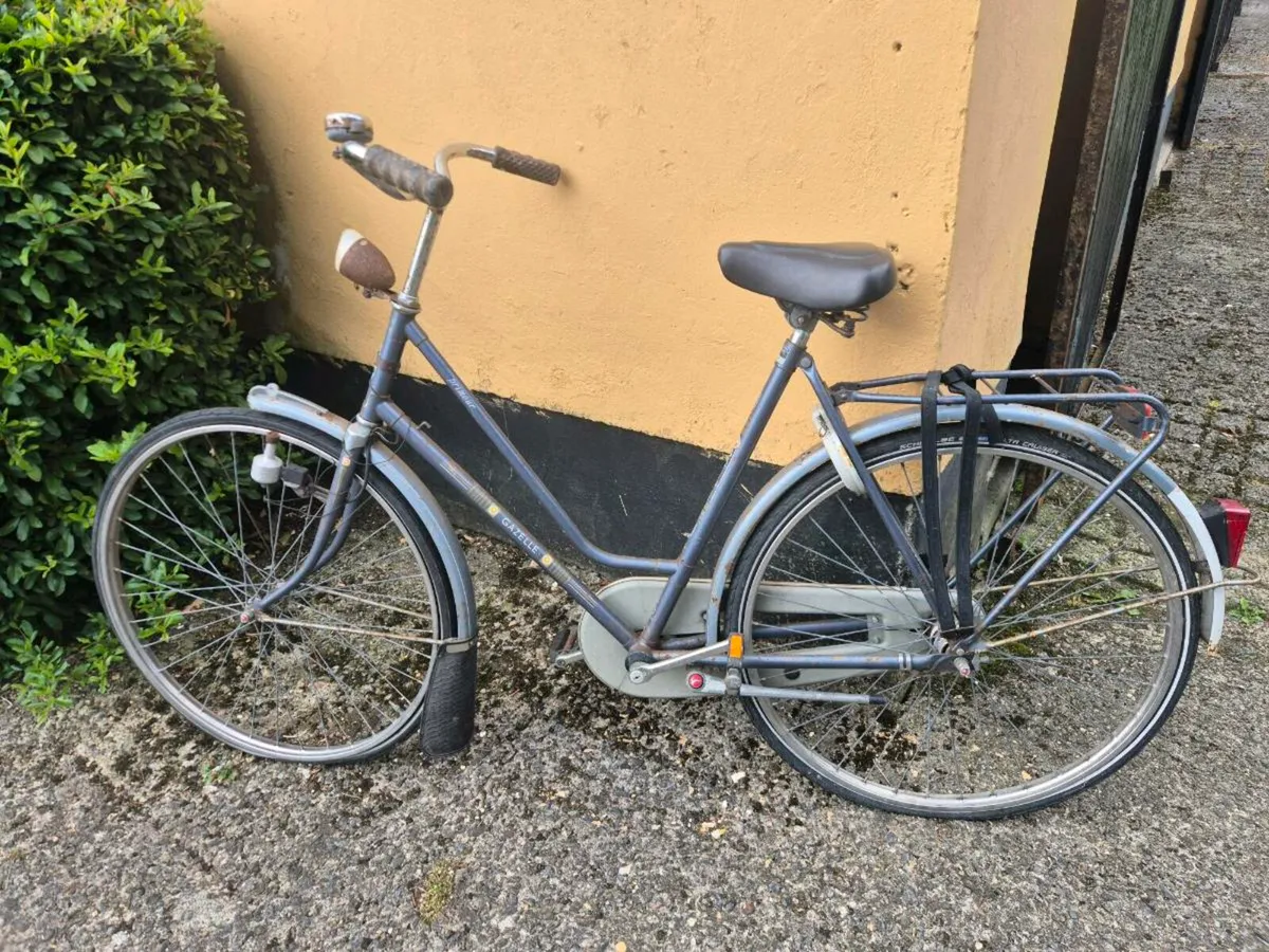 Dutch bike