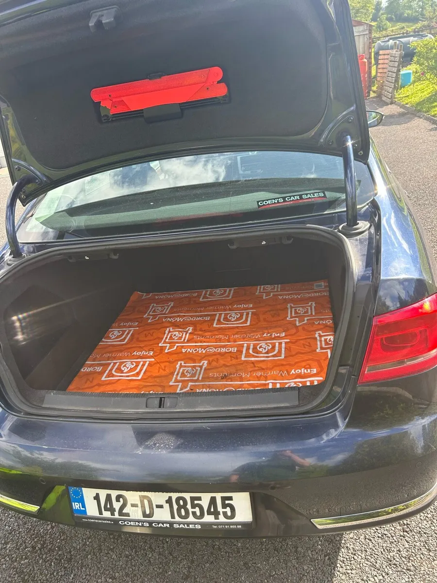 Volkswagen Passat - Image 3