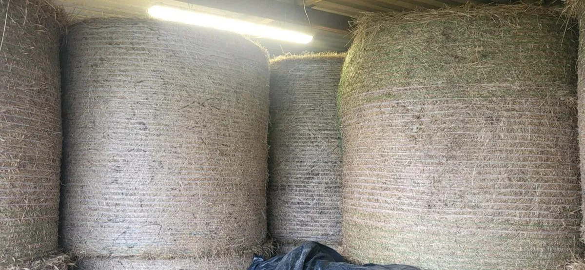 Hay & Straw - Image 1