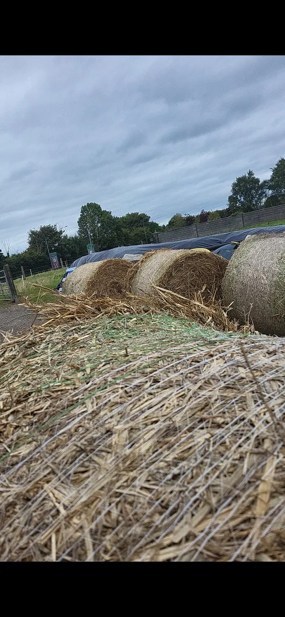 Hay & Straw - Image 2
