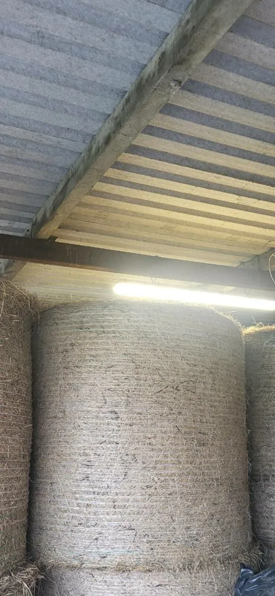 Hay & Straw - Image 3
