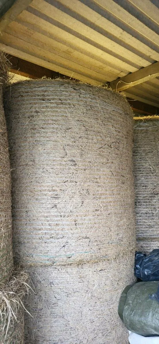 Hay & Straw - Image 4