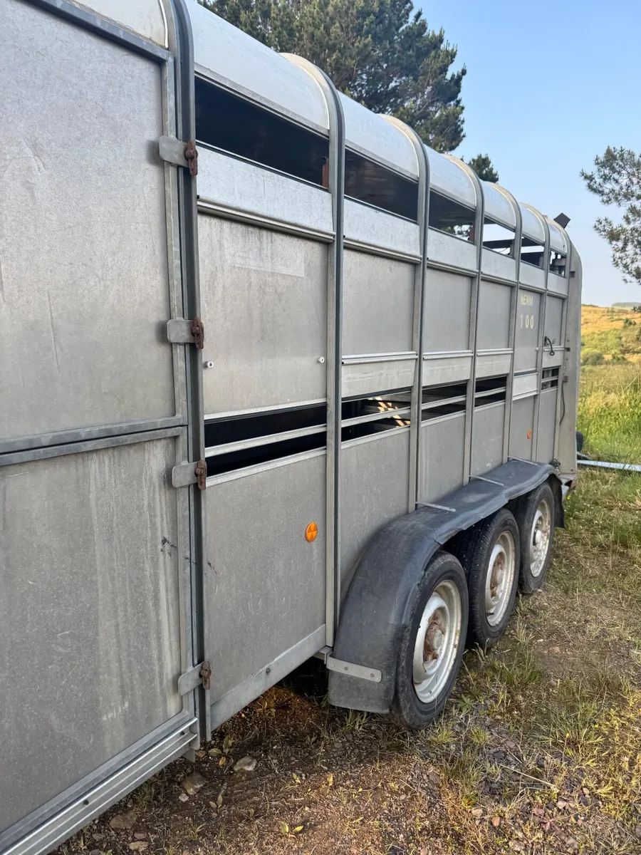 I for Williams  cattle &sheep trailer - Image 1