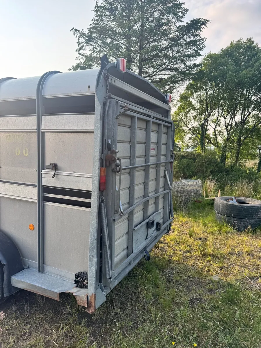 I for Williams  cattle &sheep trailer - Image 2