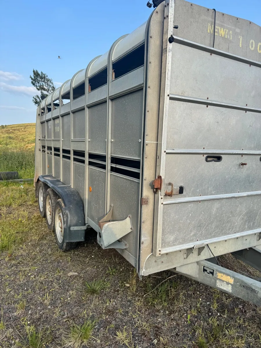 I for Williams  cattle &sheep trailer - Image 3