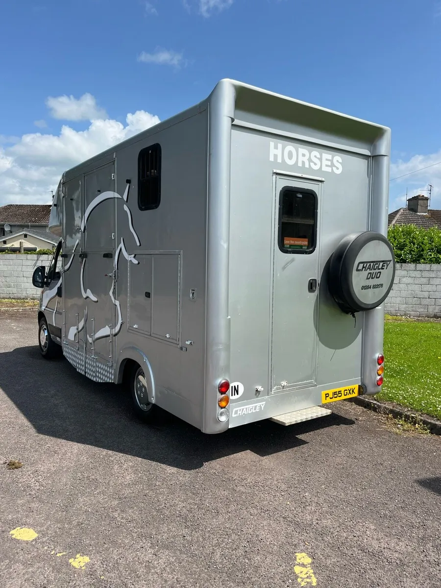 Foxy twin coach built 3.5t Horsebox - Image 3
