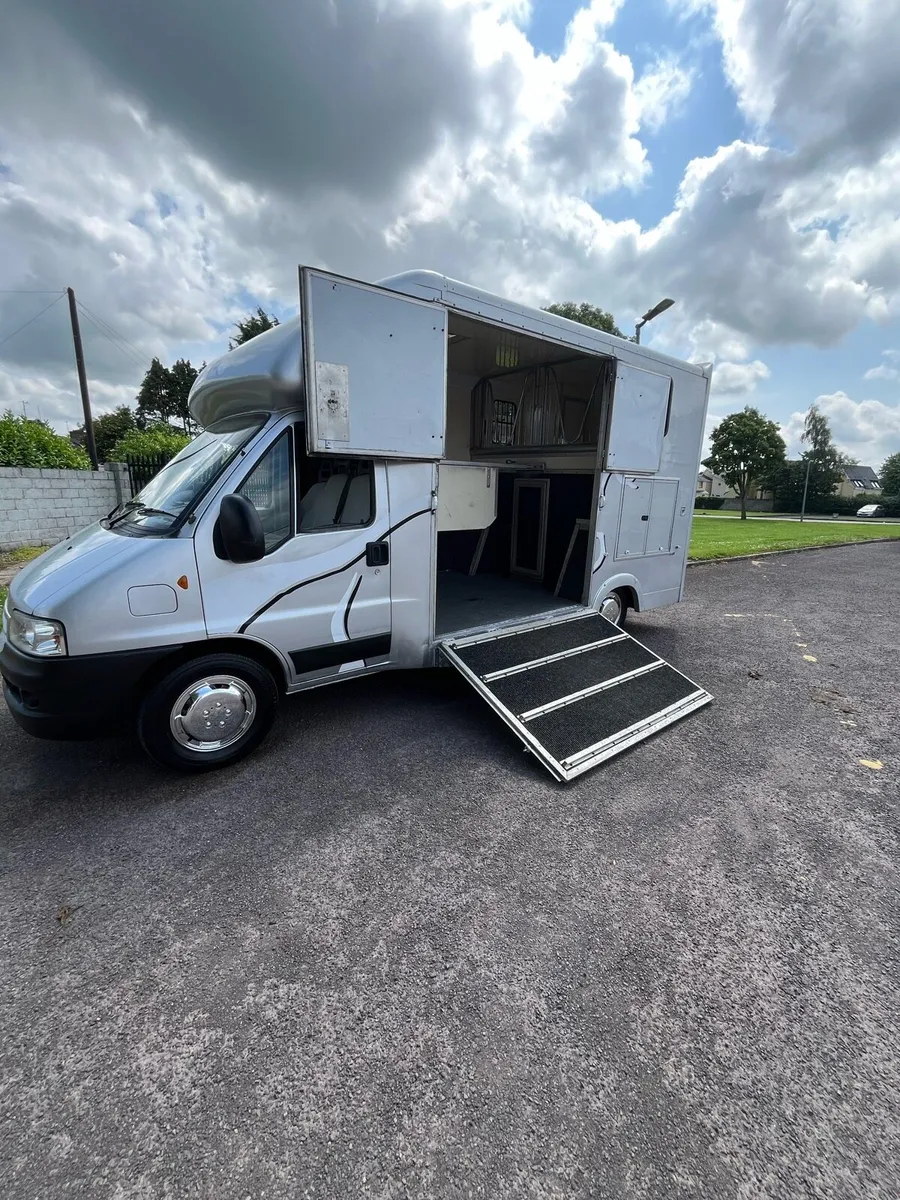 Foxy twin coach built 3.5t Horsebox - Image 4