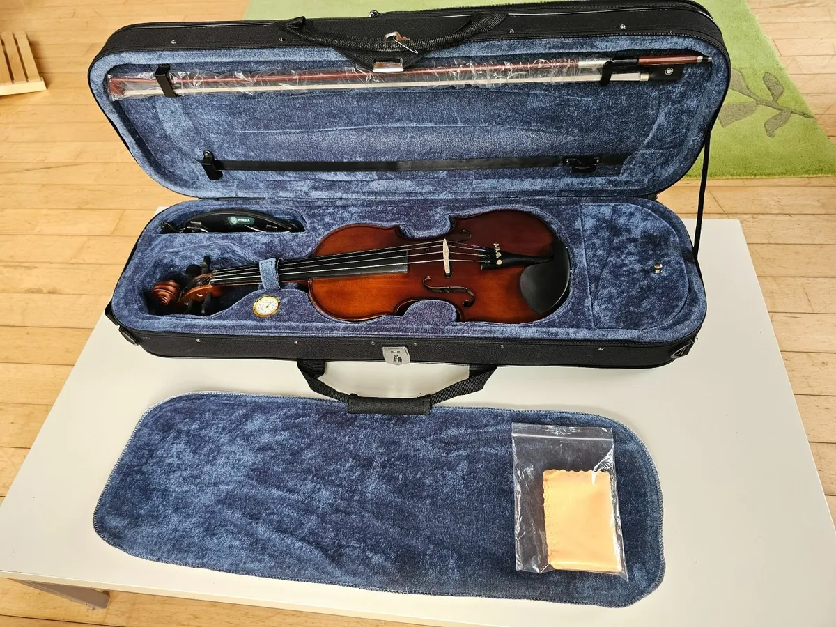 Mcneela Premier Electro Acoustic Violin + more - Image 1