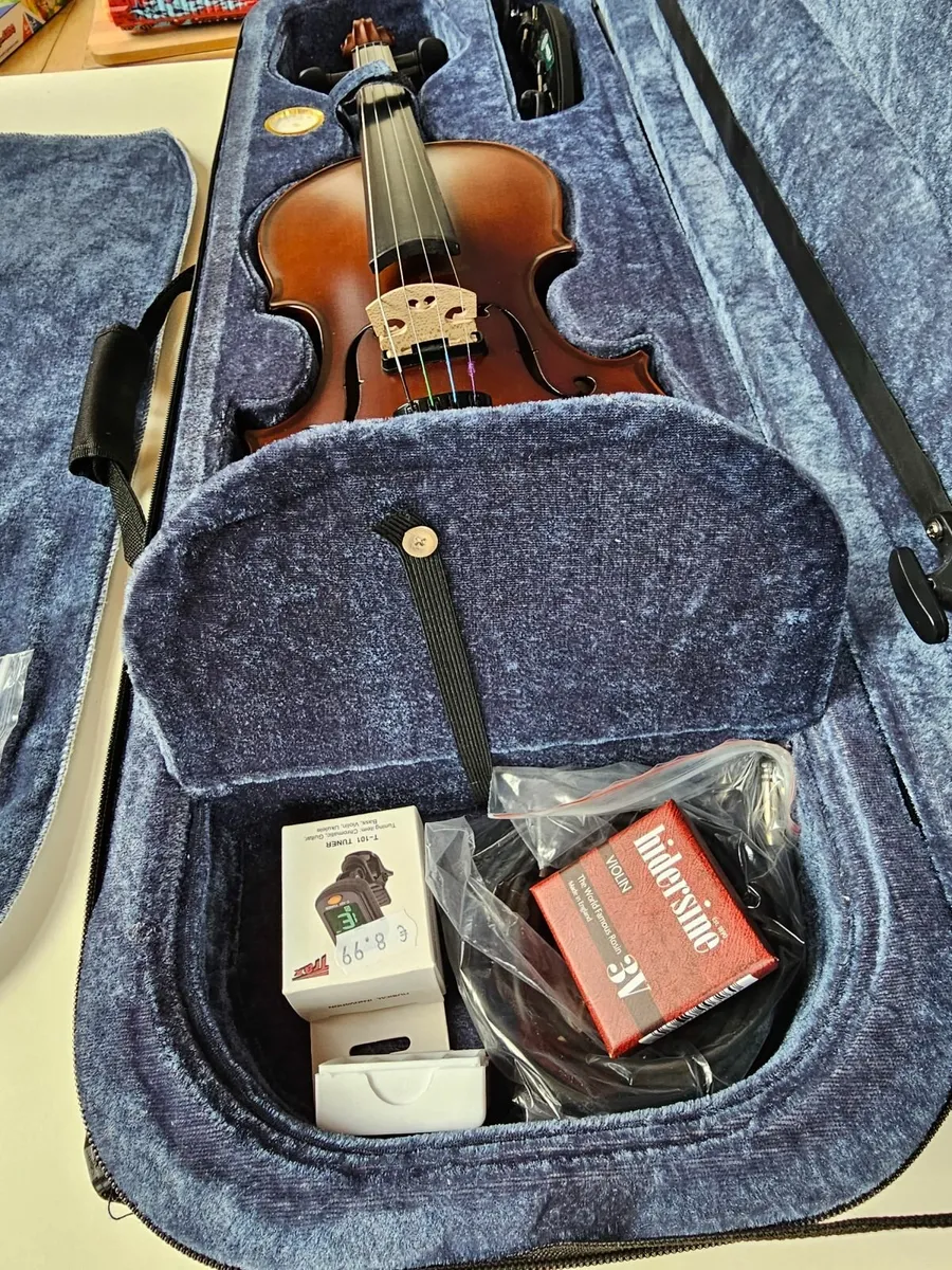 Mcneela Premier Electro Acoustic Violin + more - Image 2
