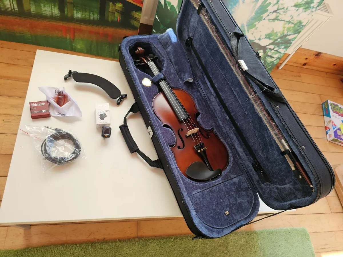 Mcneela Premier Electro Acoustic Violin + more - Image 3