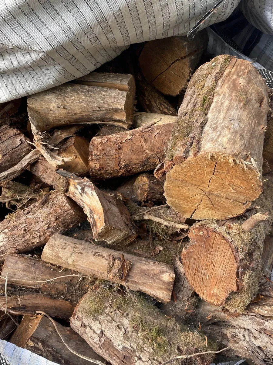 *SALE* Seasoned Softwood - Image 2