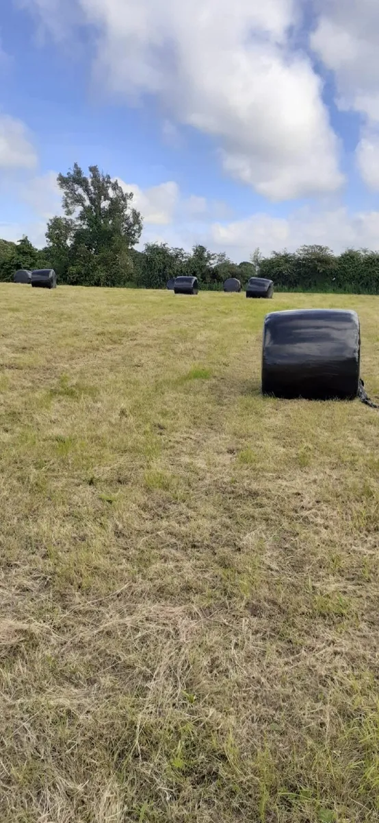 Silage bales - Image 1