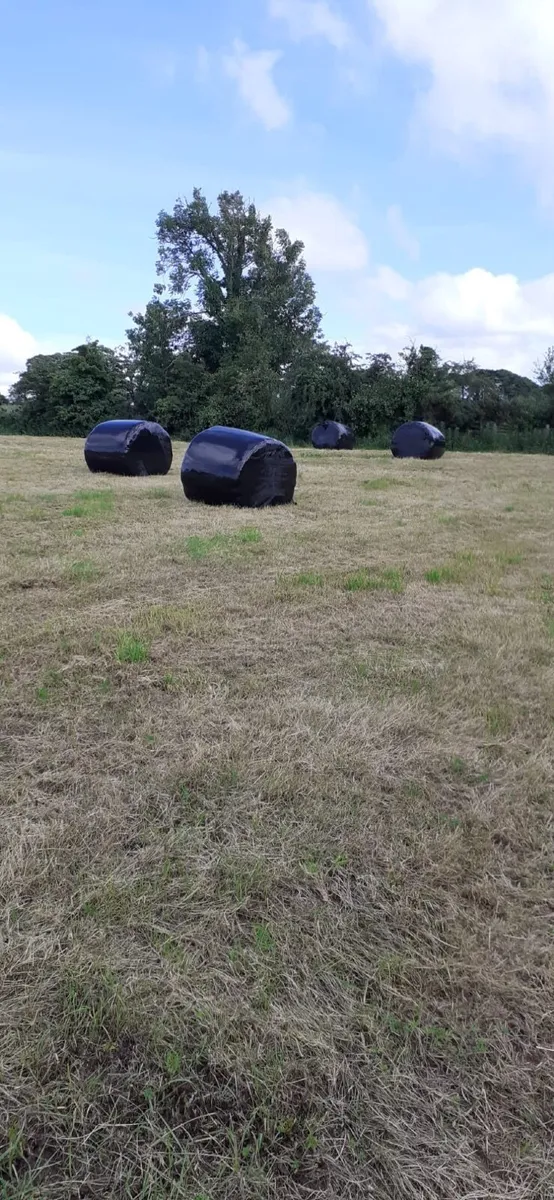 Silage bales - Image 2