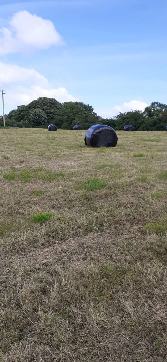 Silage bales - Image 4