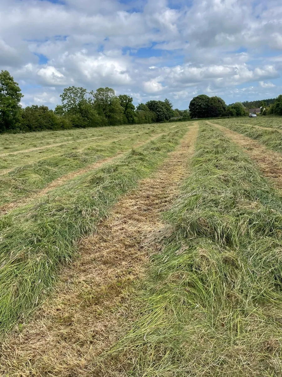 Silage - Image 1