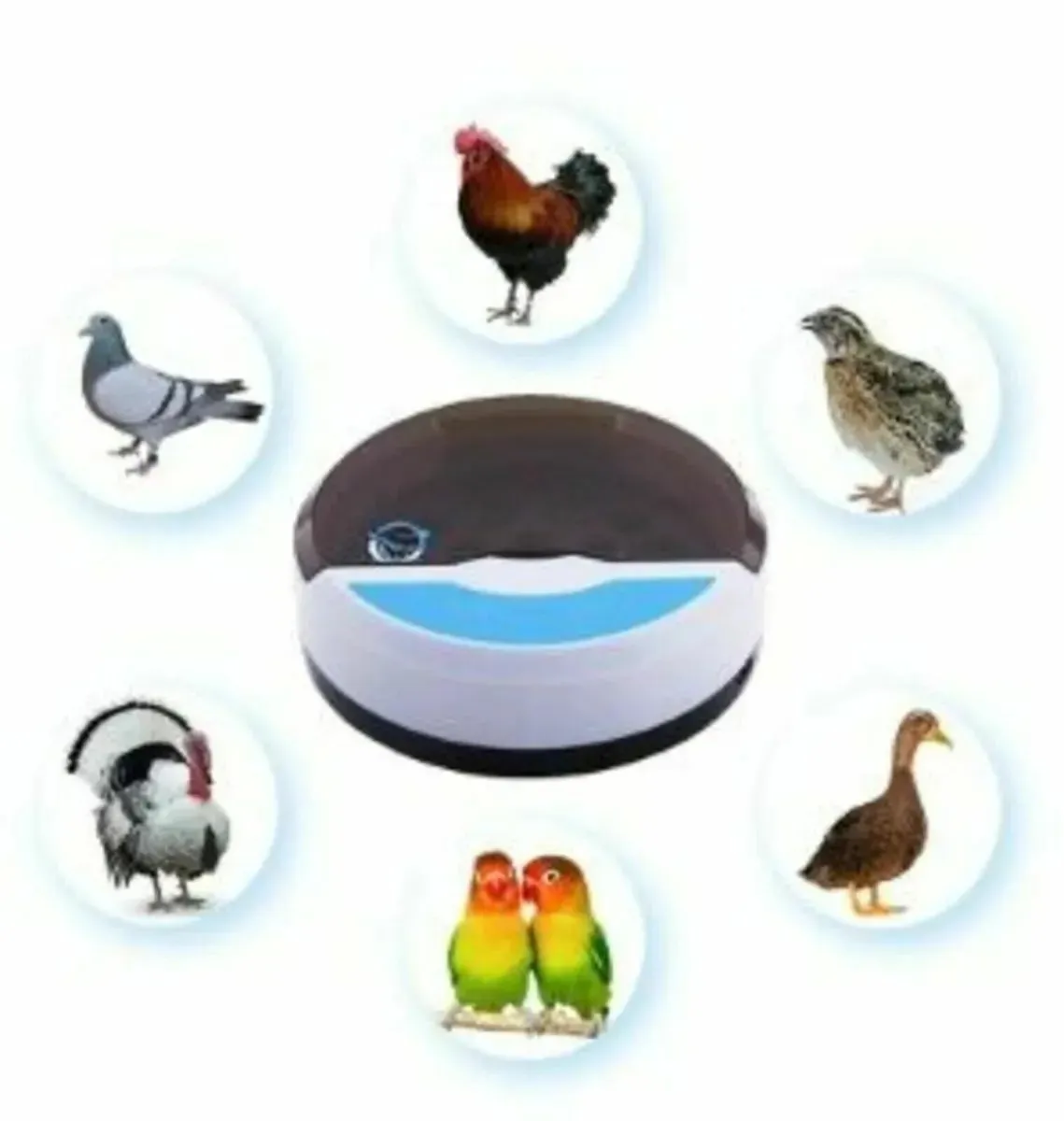 Automatic Egg Incubator 9 eggs + 4 bird - Image 2