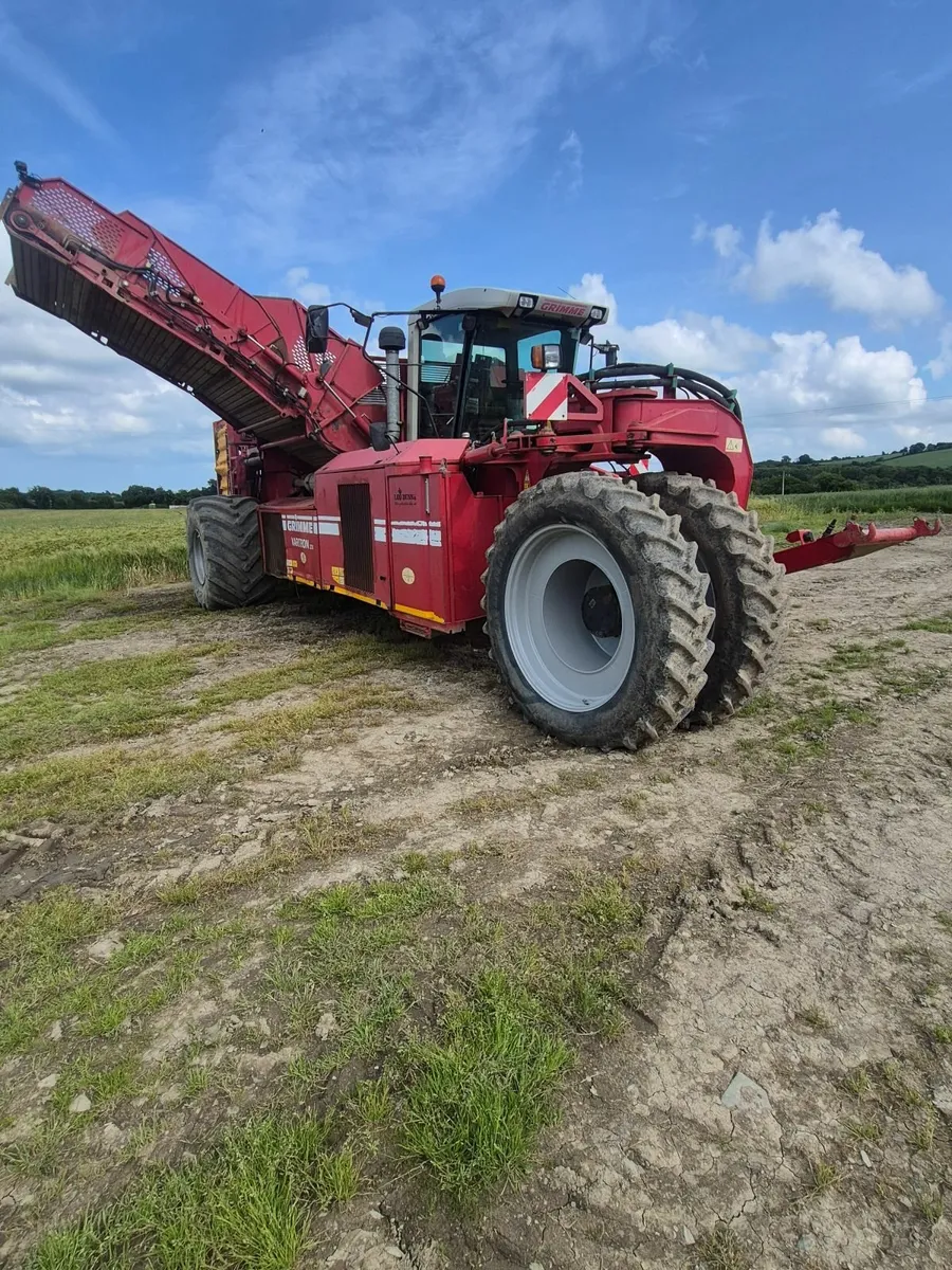 Grimme Varitron 270 Potato Harvester - Image 4