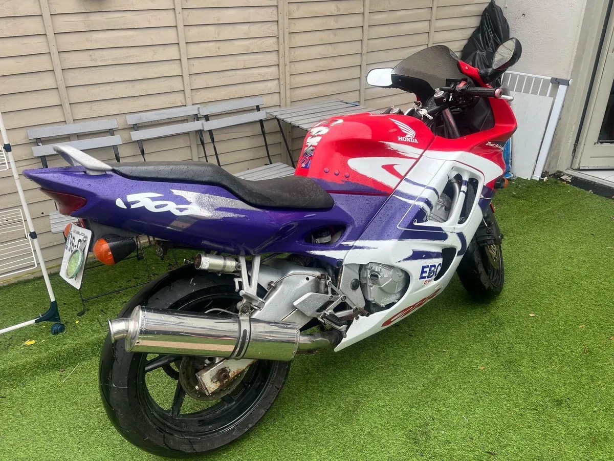 Honda CBR 600 - Image 3