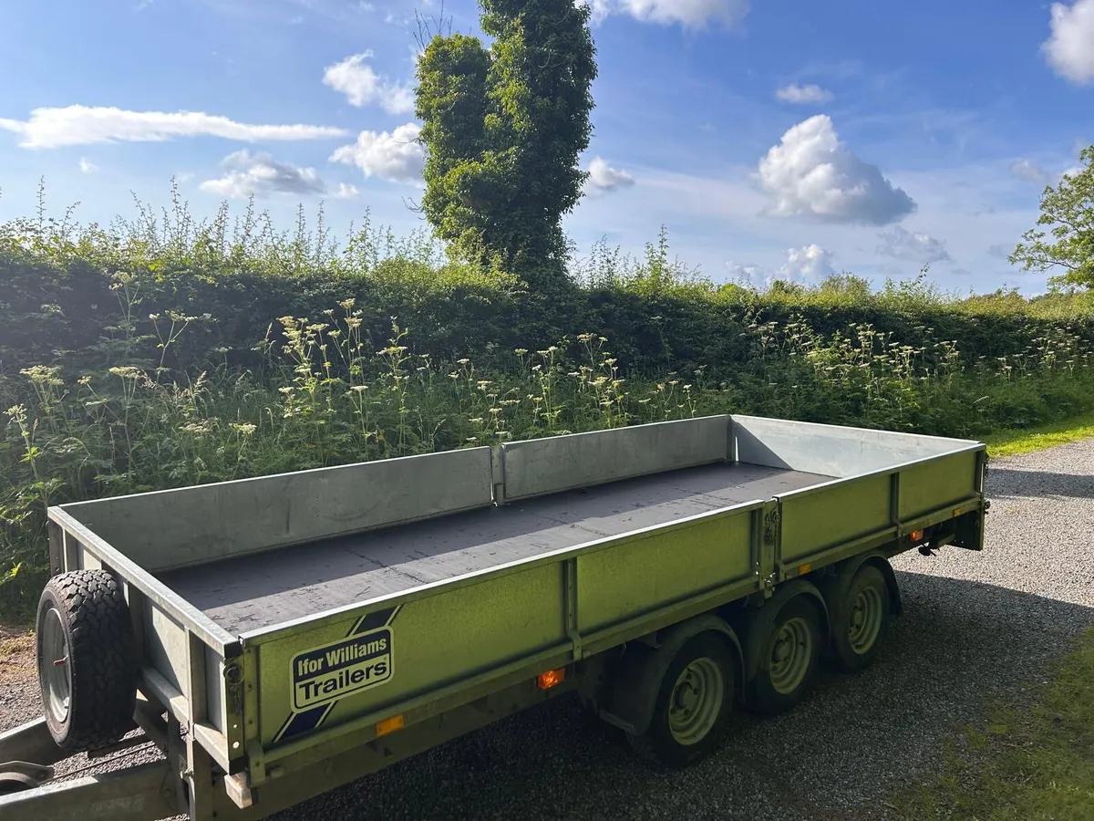 Ifor Williams 16 ft Lm166 Tri Axle Trailer - Image 3