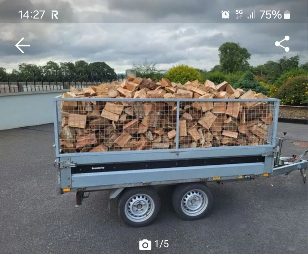 Hardwood extra long firewood - Image 2