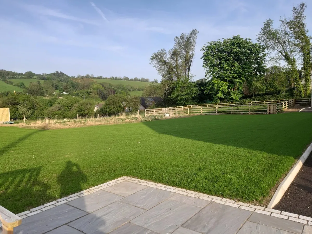 Lawn seeding - Image 1