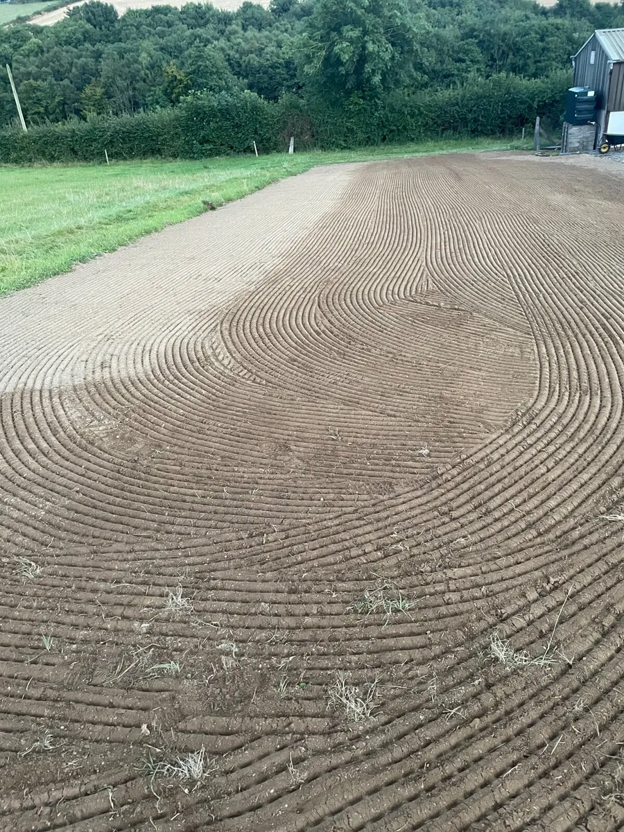 Lawn seeding - Image 2