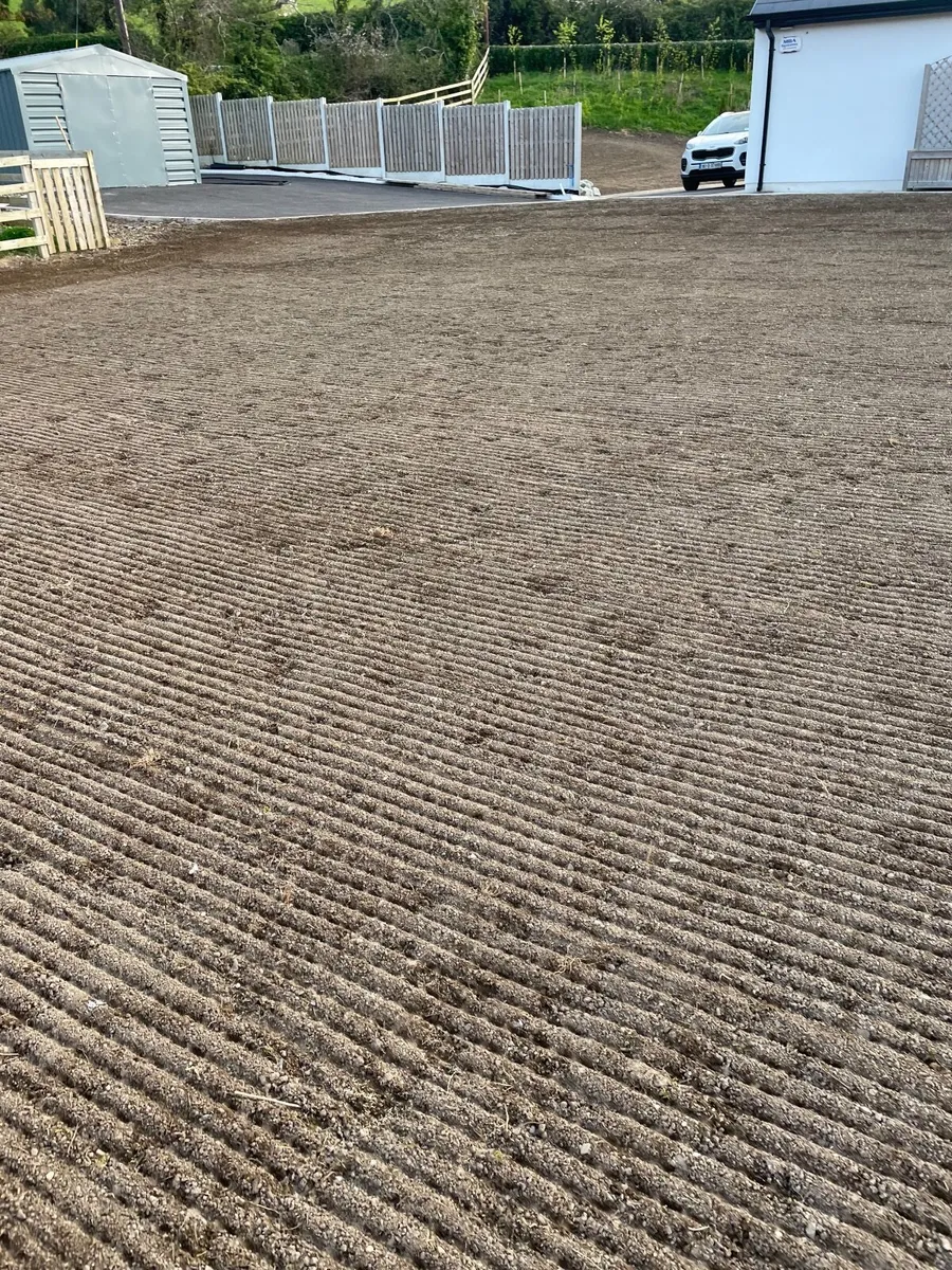 Lawn seeding - Image 4