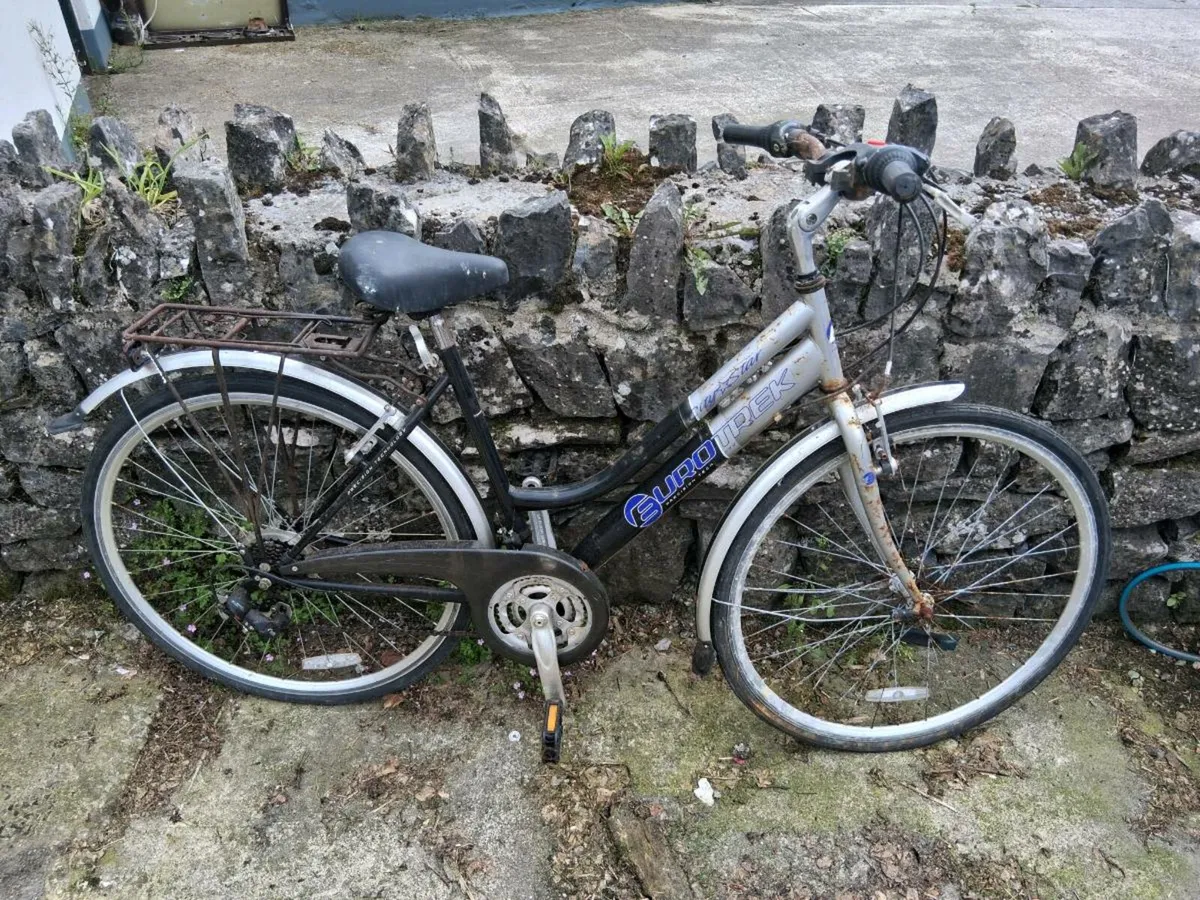 Eurotrek ladies bike