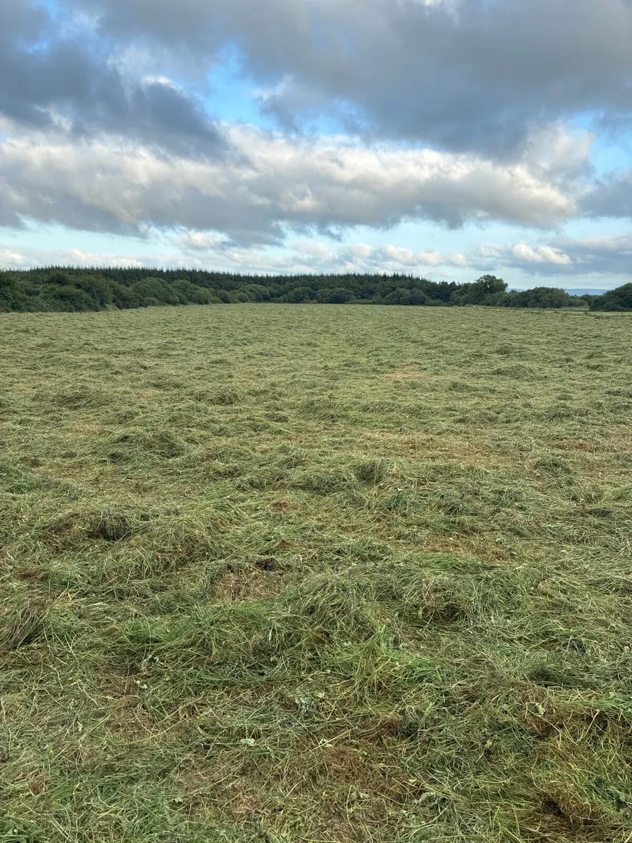 Silage - Image 1