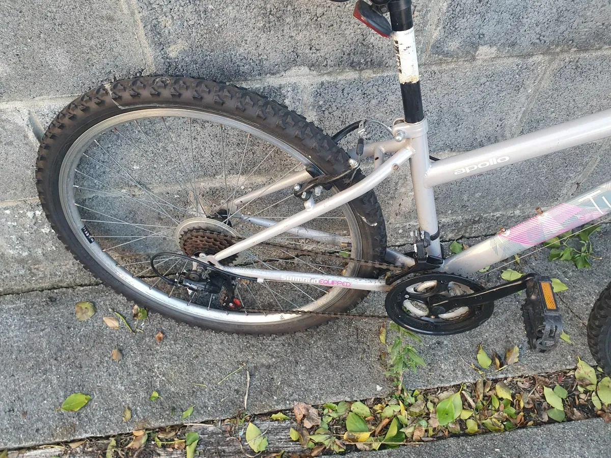 Ladies bike - Image 1