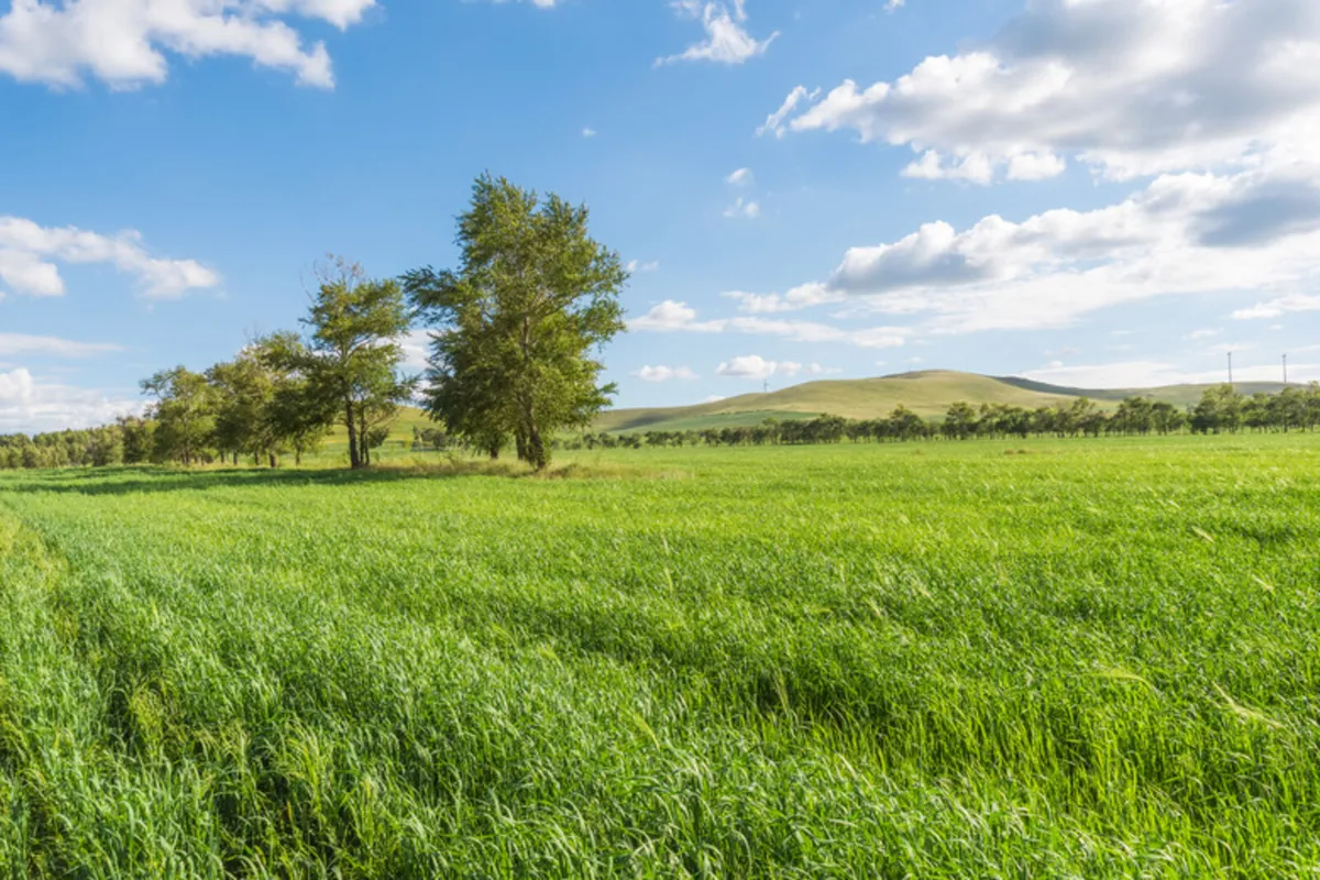10 to 50 acres of grassland wanted to lease