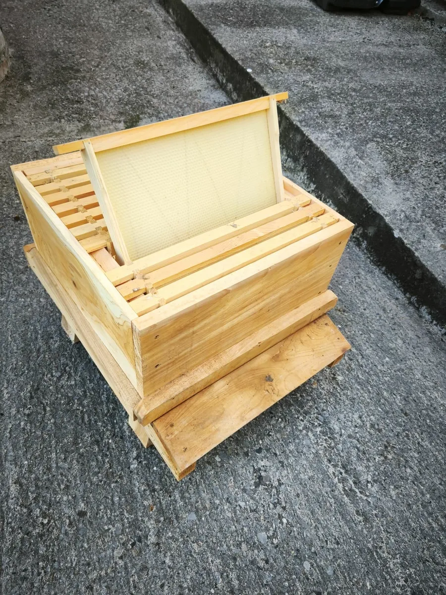 Beehive - Image 1
