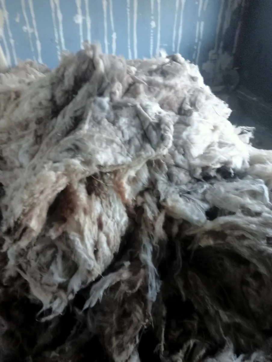 Attic insulation - Image 1