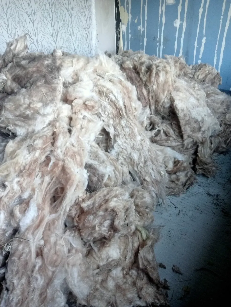 Attic insulation - Image 2