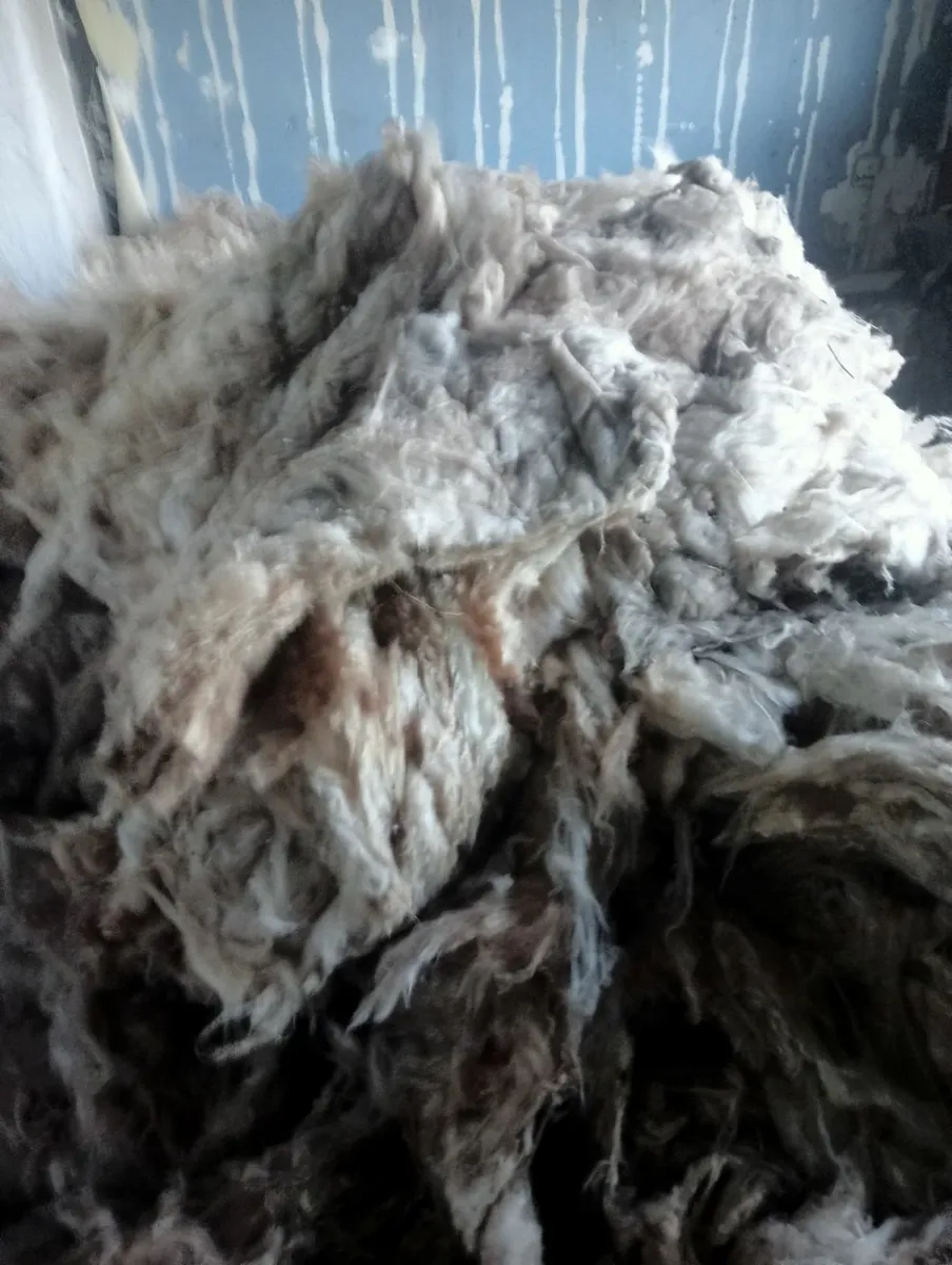 Attic insulation - Image 3