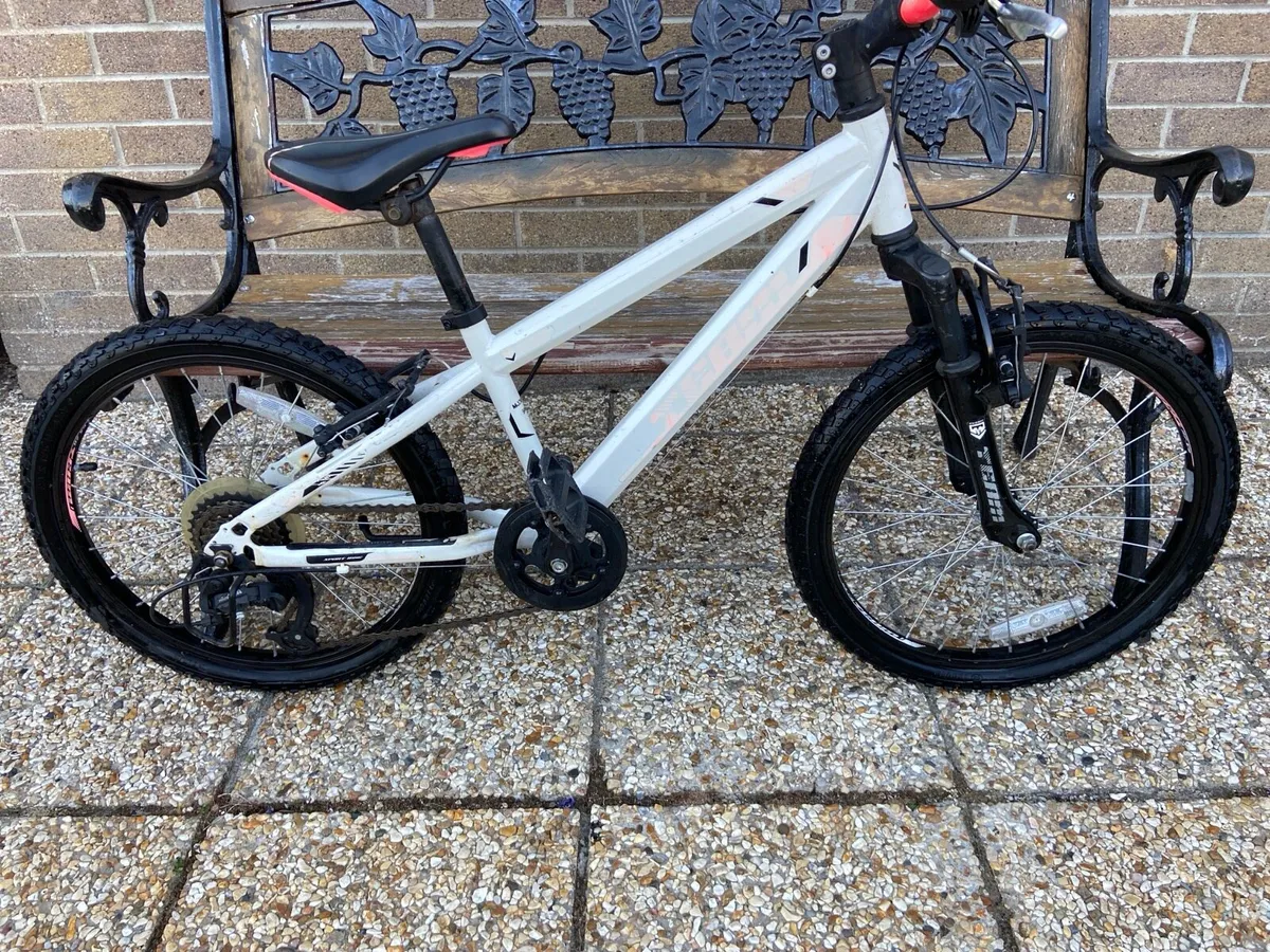 20.  Inch.  Bike - Image 1