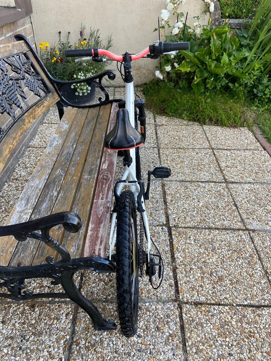 20.  Inch.  Bike - Image 3