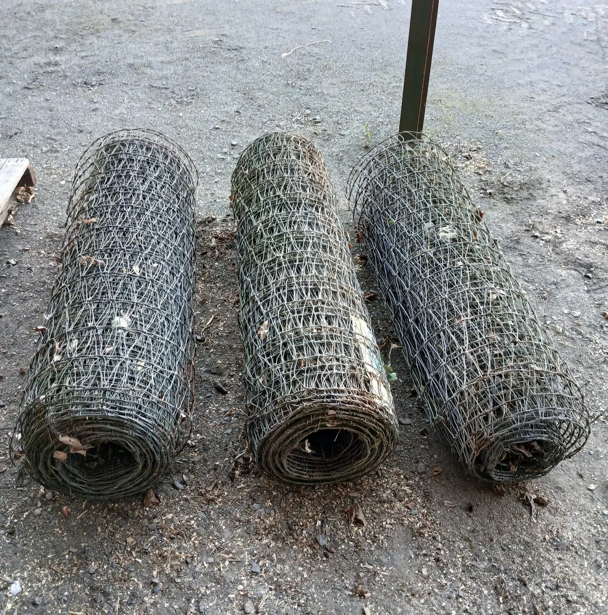 Horse wire - Image 3