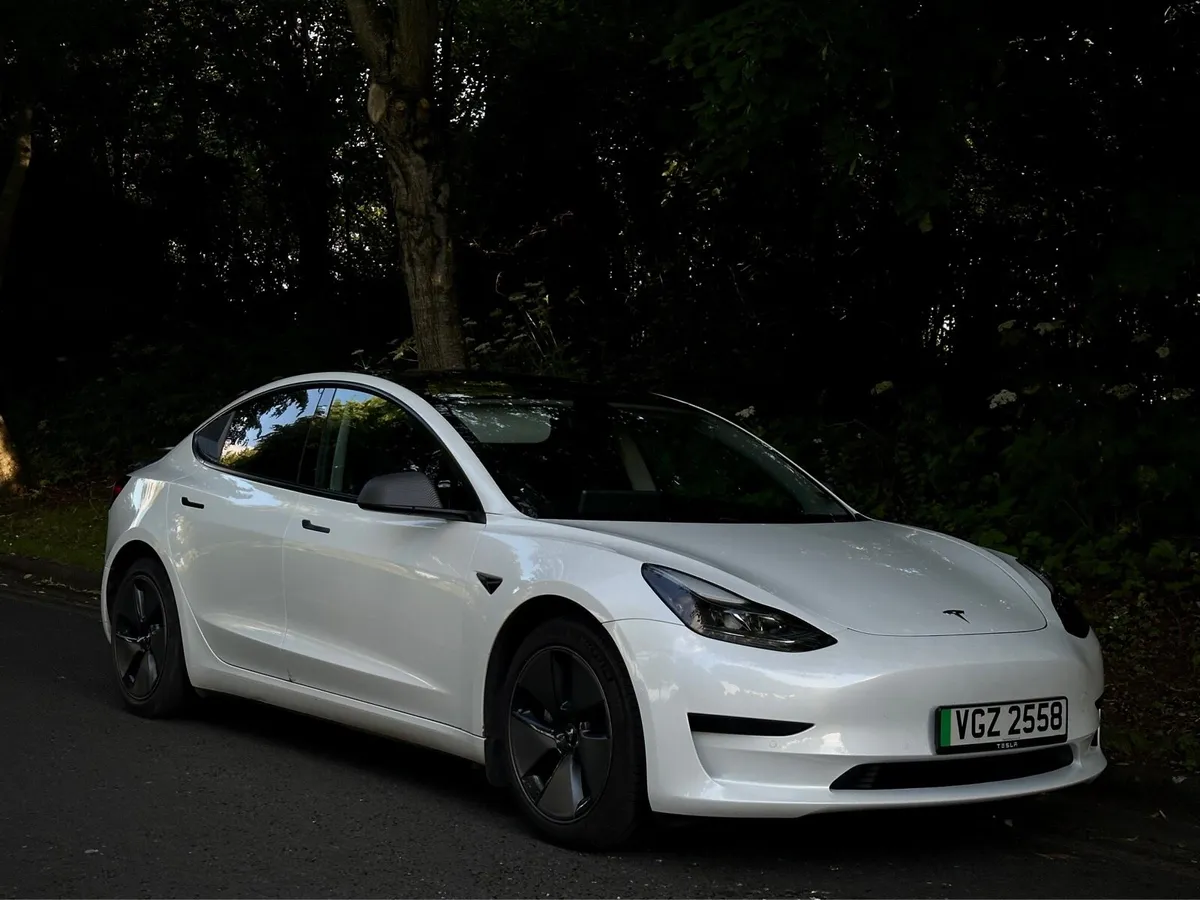 2021 TESLA MODEL 3 - Image 1